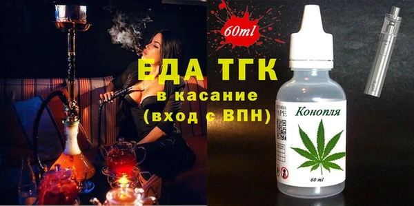 ECSTASY Алзамай