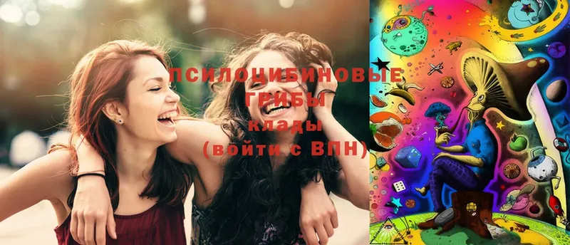 Псилоцибиновые грибы Magic Shrooms  hydra как войти  Билибино 